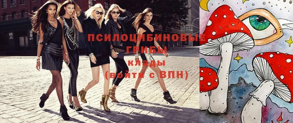 круглые Няндома
