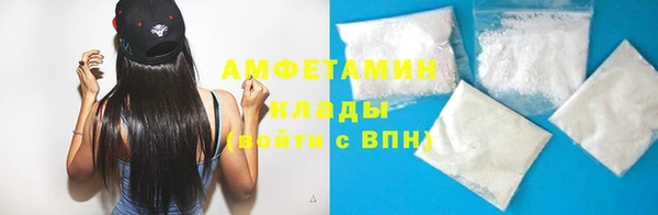 индика Нягань