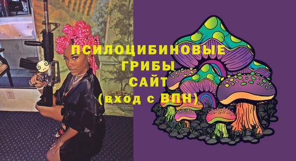 индика Нягань